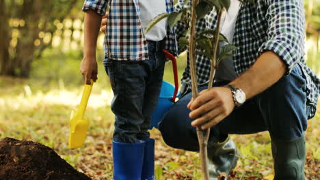 Closeup.-Portrait-of-a-little-boy-and-his-dad-planting-a-tree.-Man-takes-the-tree-and-puts-it-into-the-hole.-The-boy-plays-with-his-spade.-Camera-moving-up.-Blurred-background